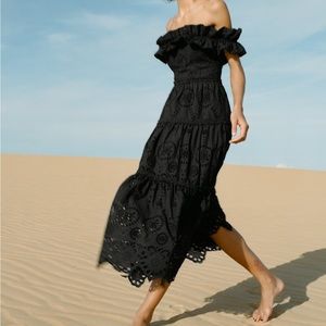 Zara embroidered mini dress NWT